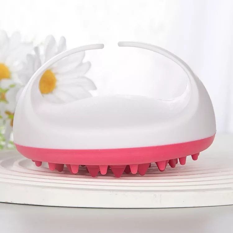 Bath Brush-Dry Body Brush